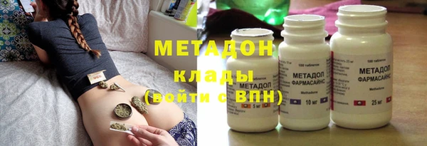 шишки Арсеньев
