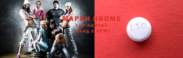 шишки Арсеньев