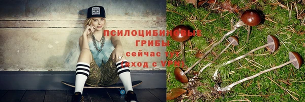apvp Аркадак