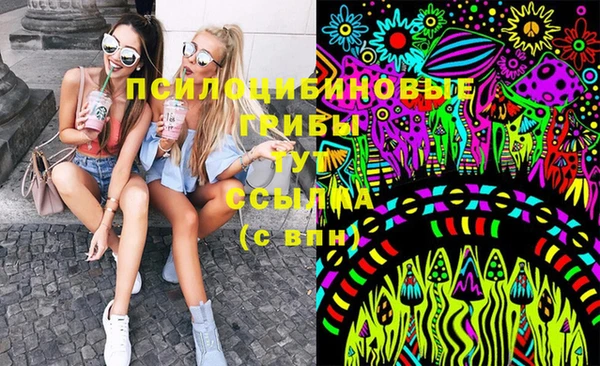 шишки Арсеньев