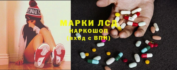 шишки Арсеньев
