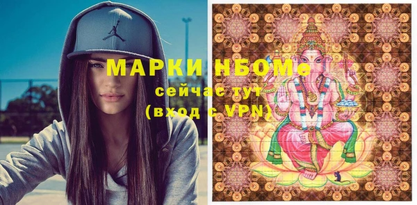 шишки Арсеньев