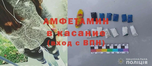 шишки Арсеньев