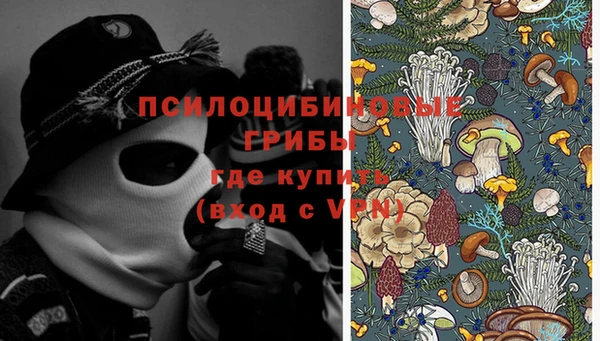 шишки Арсеньев